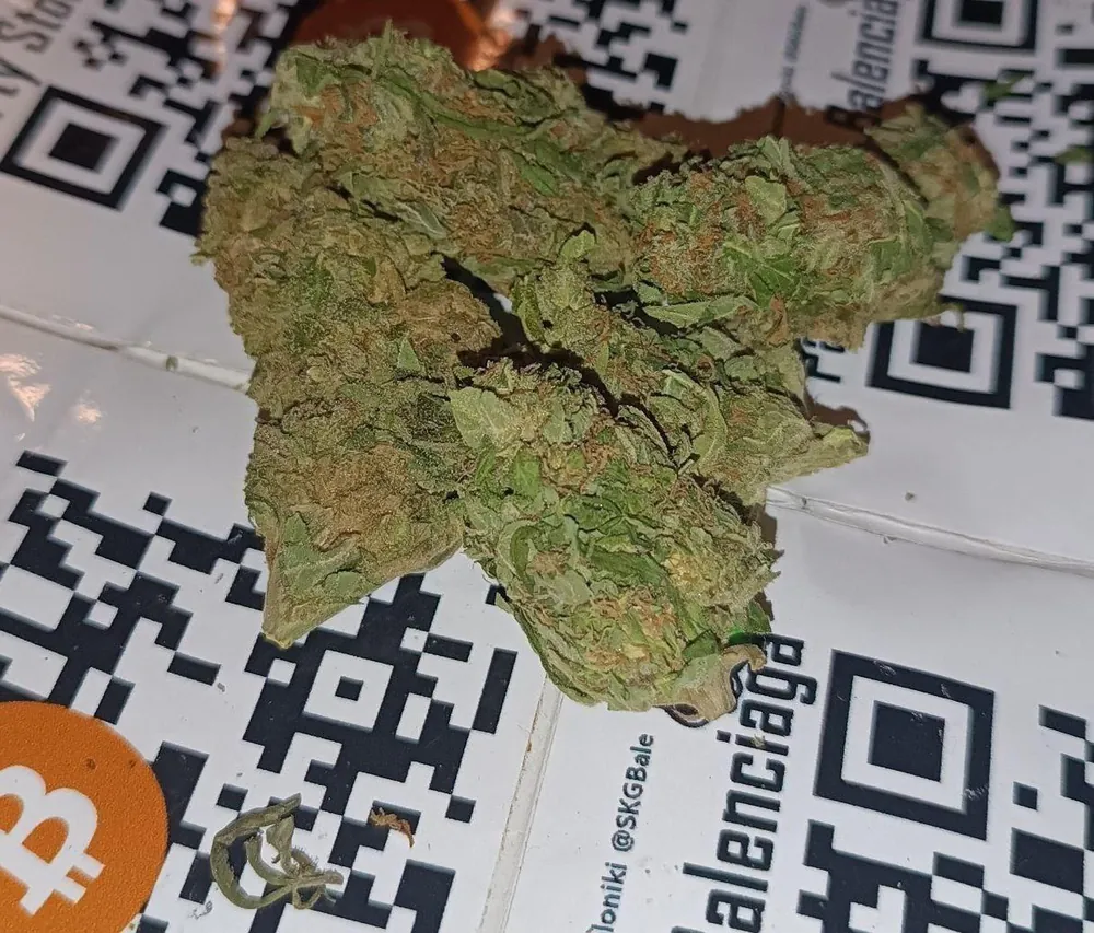🌿 Tropical Cherry 🍒